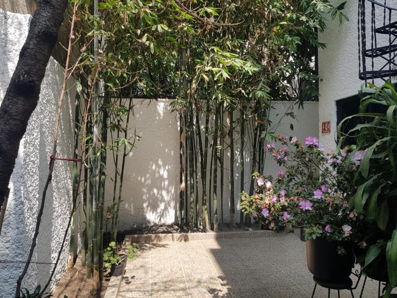 Casa Maria Elena Condesa (Adults Only) Hotel Mexico City Exterior photo